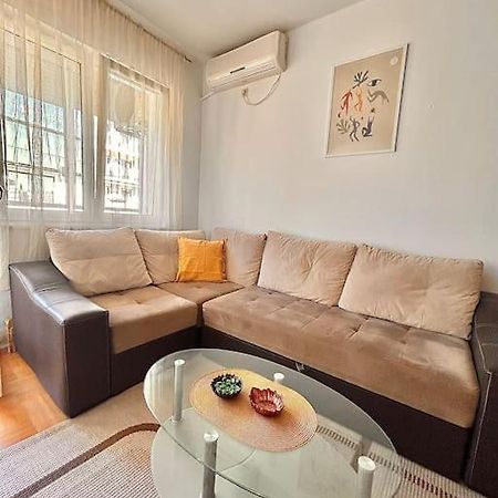 Cozy, Charming One Bedroom Apt Podgorica Zewnętrze zdjęcie
